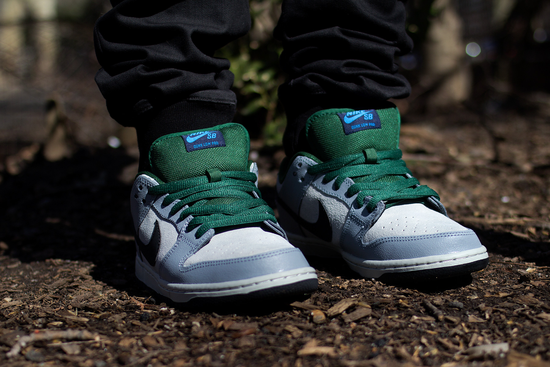 Dunk Low Premium SB Maple Leaf 313170-021