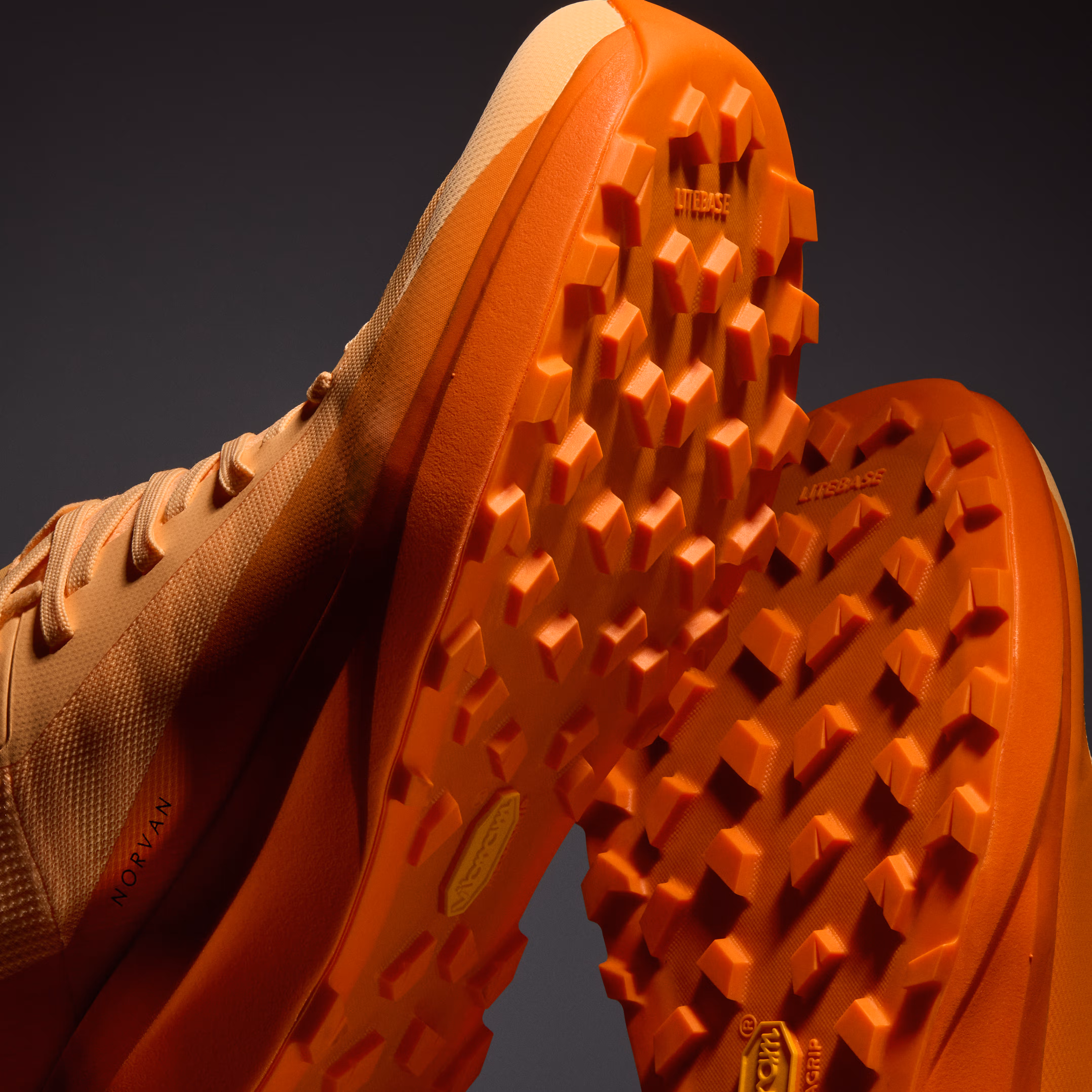 Norvan LD 4 Shoe Women's