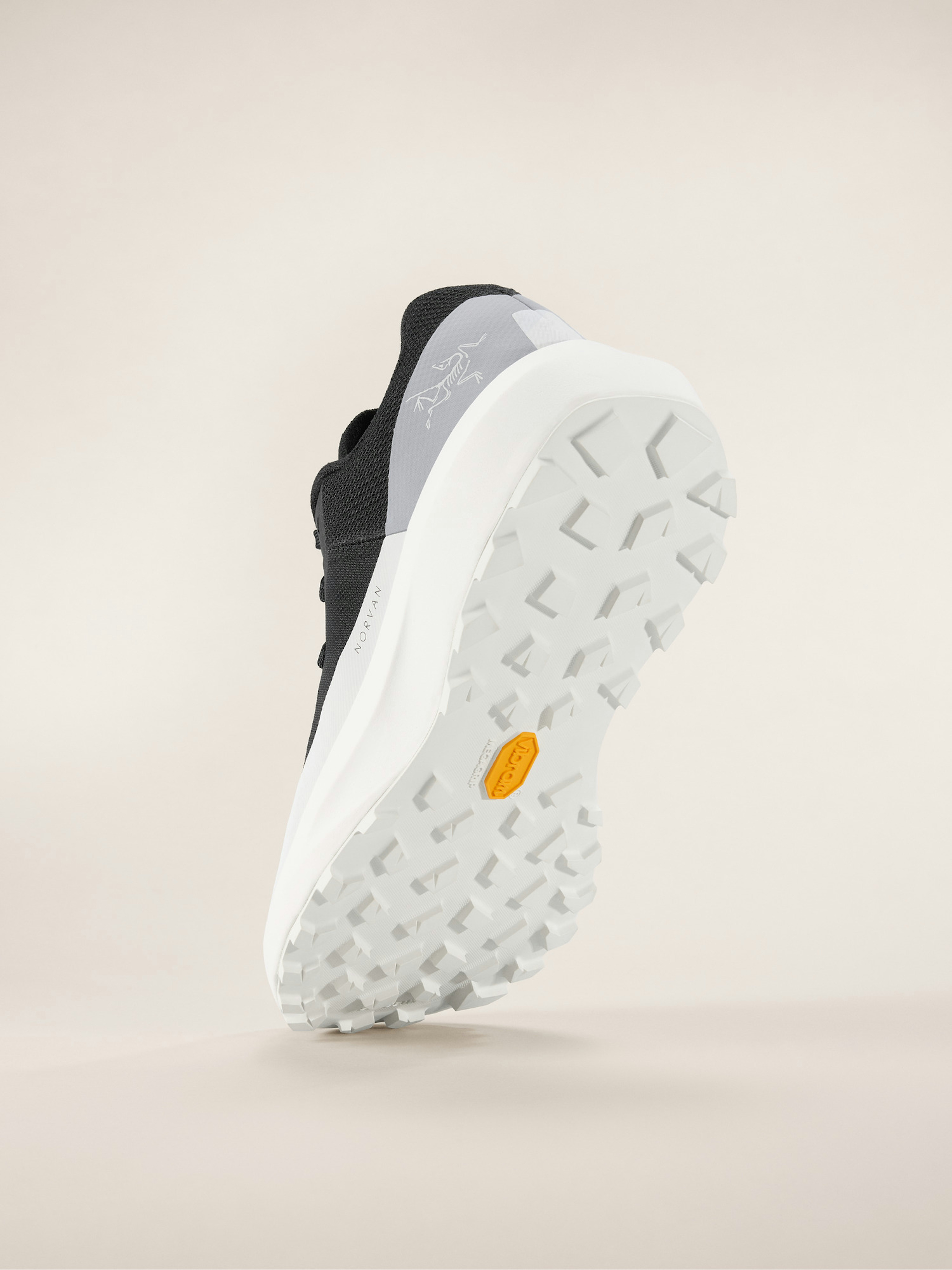 Norvan LD 4 Shoe Women's