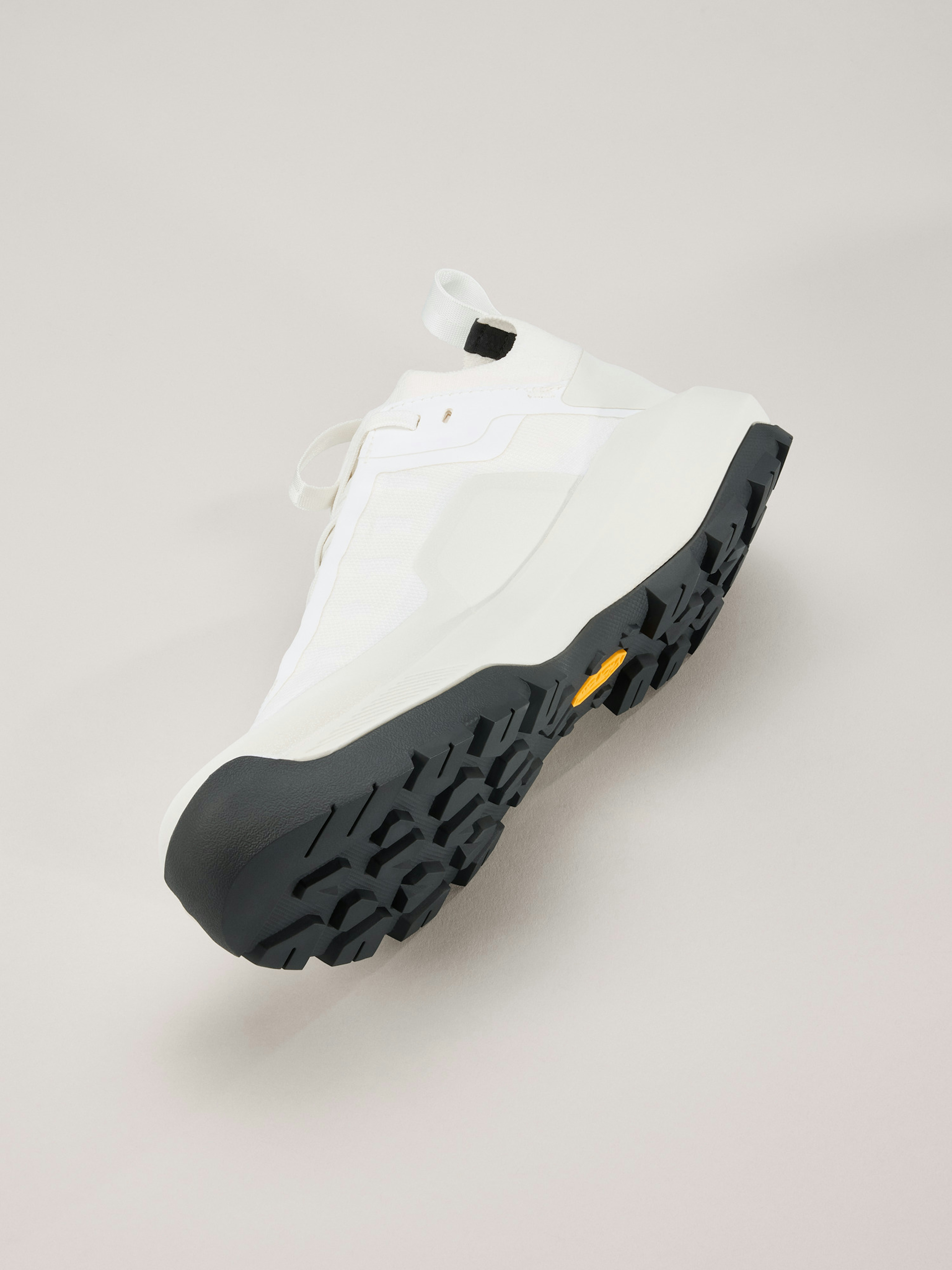 Vertex Alpine GTX Shoe Women's