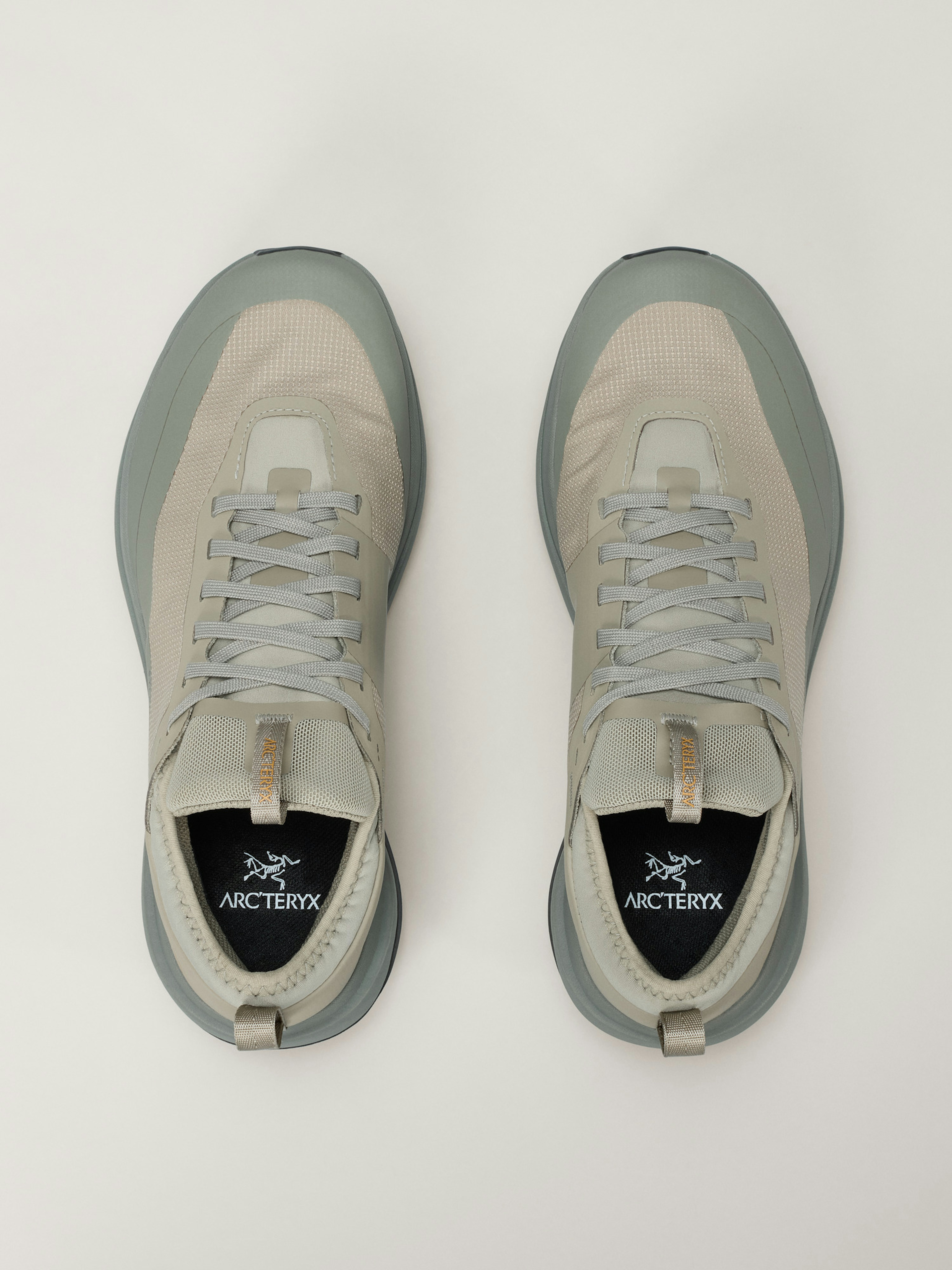 Sylan GTX Shoe Women's