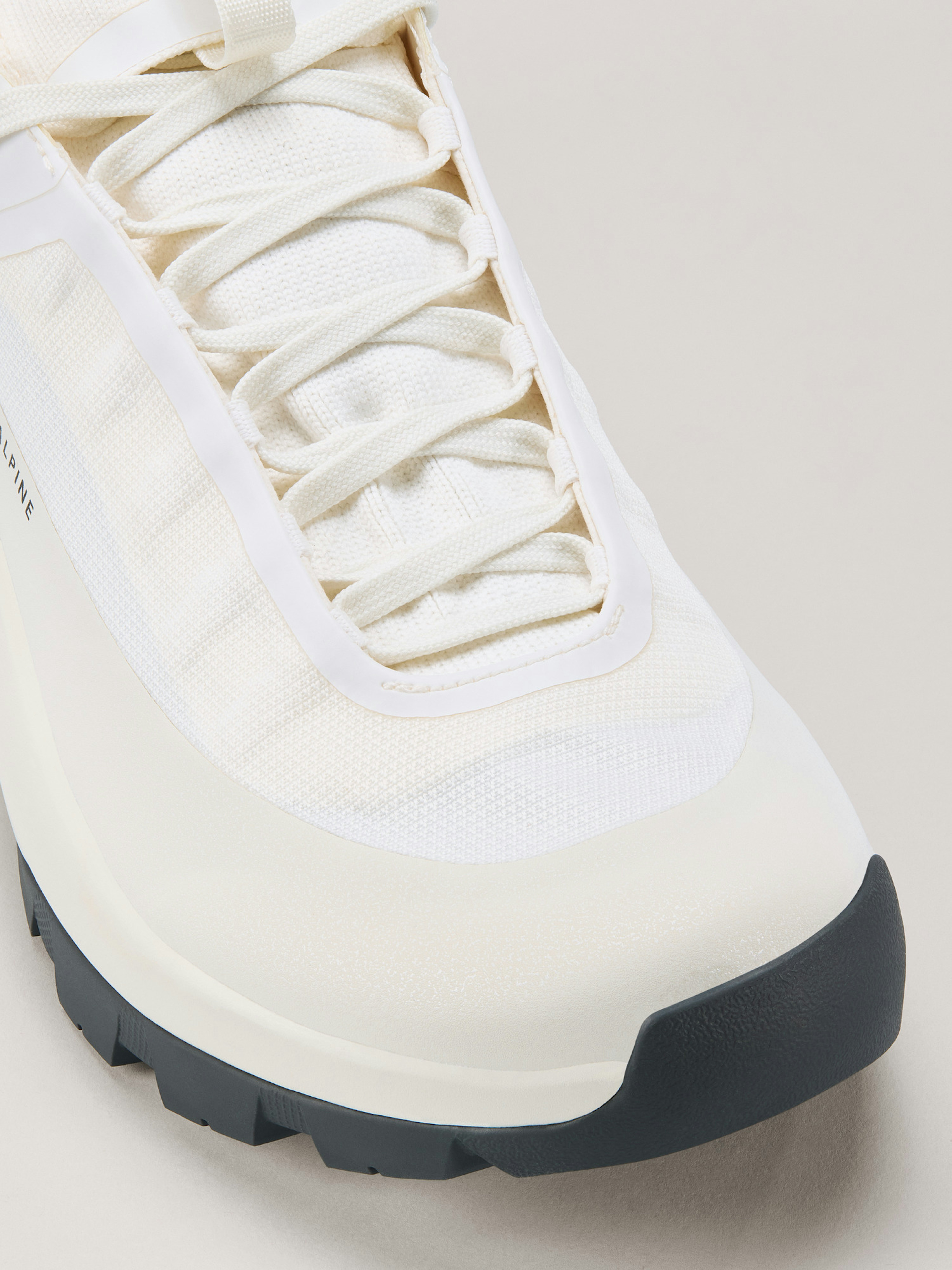 Vertex Alpine GTX Shoe Women's