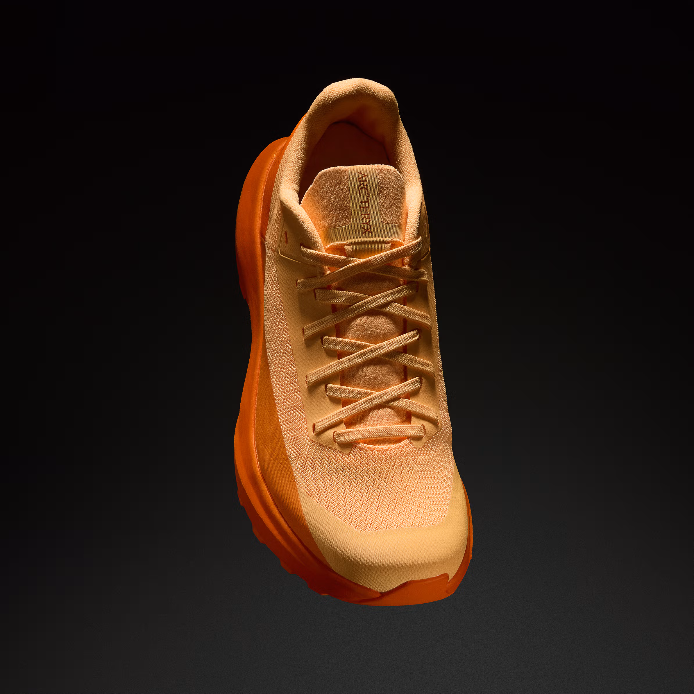 Norvan LD 4 Shoe Women's