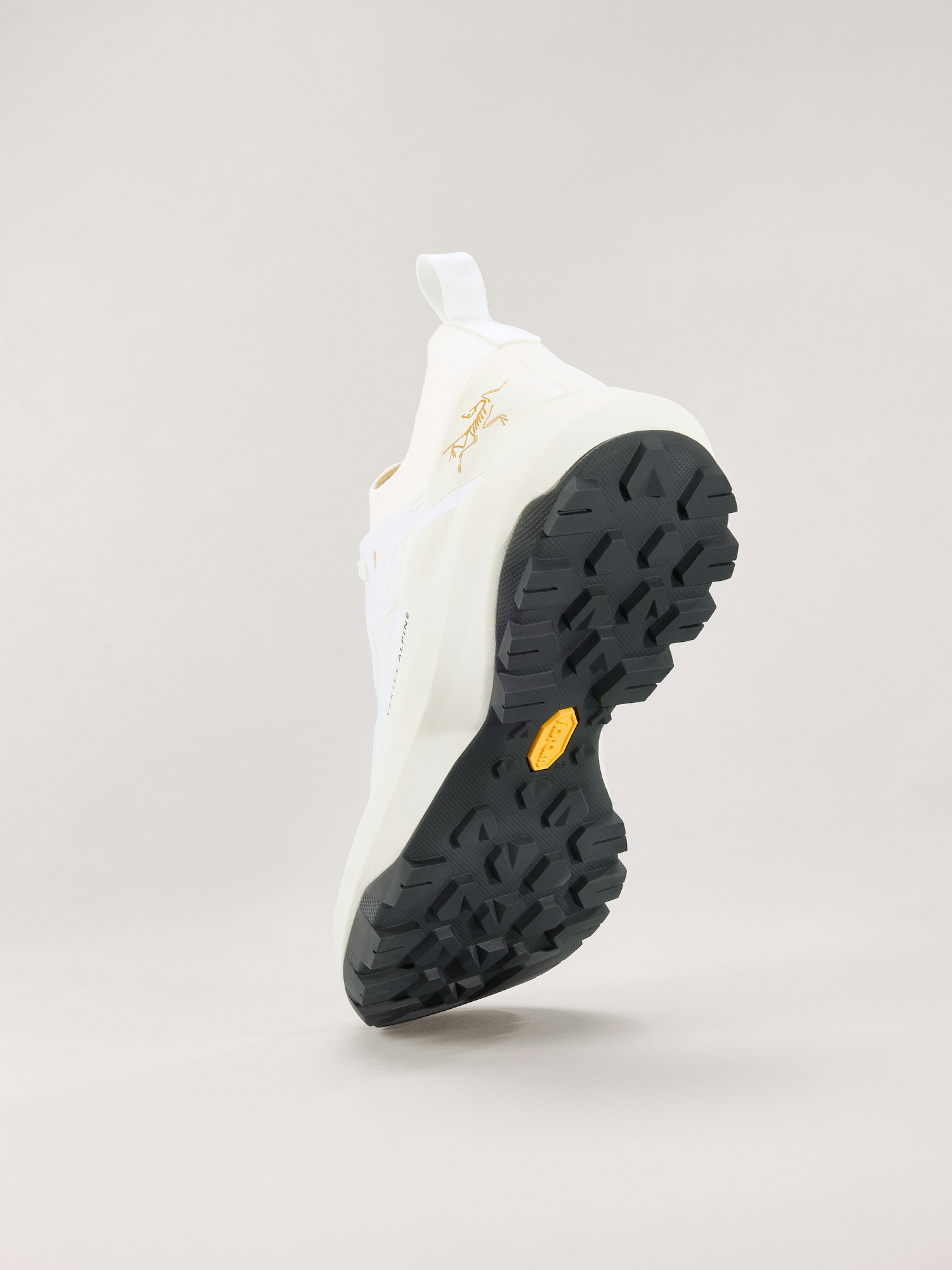 Vertex Alpine GTX Shoe Women's