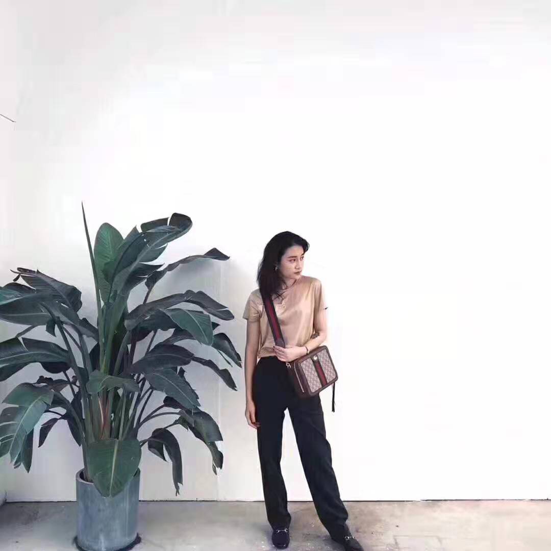 Gucci GG Women Ophidia Small GG Shoulder Bag in Beige/Ebony GG Supreme Canvas