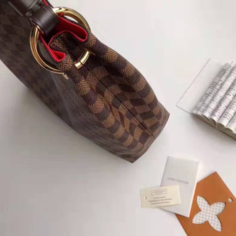 Louis Vuitton LV Women Graceful PM Hobo in Graphic Damier Ebene Canvas-Brown