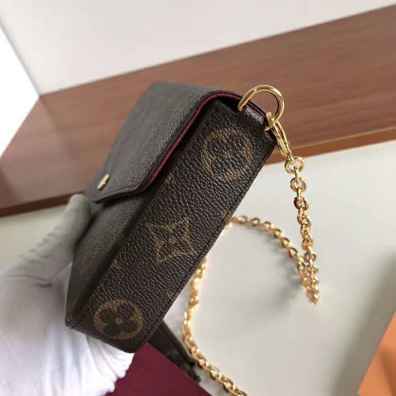 Louis Vuitton LV Women Félicie Pochette Bag in Monogram Canvas-Brown