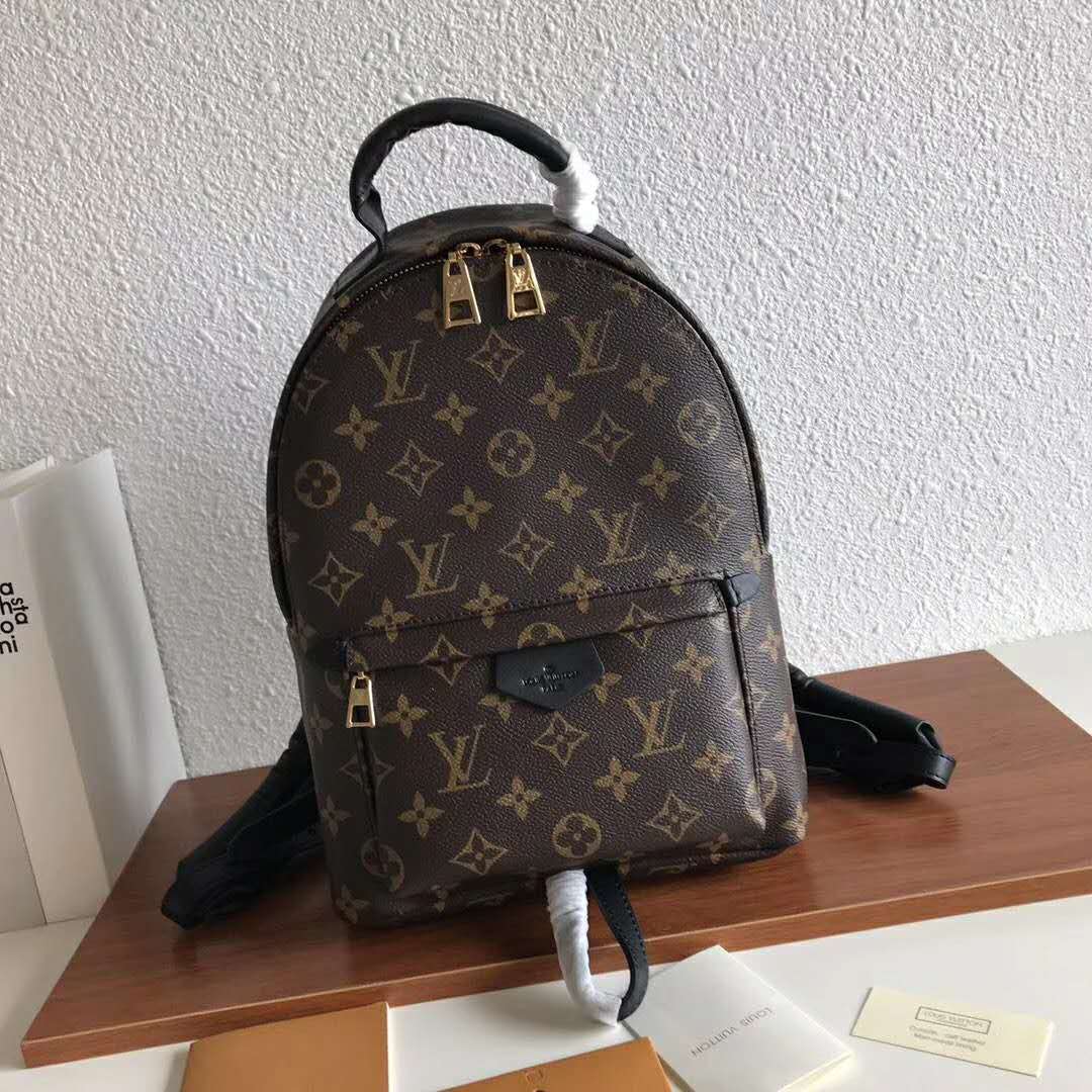 Louis Vuitton LV Unisex Palm Springs PM Backpack in Monogram Coated Canvas-Brown