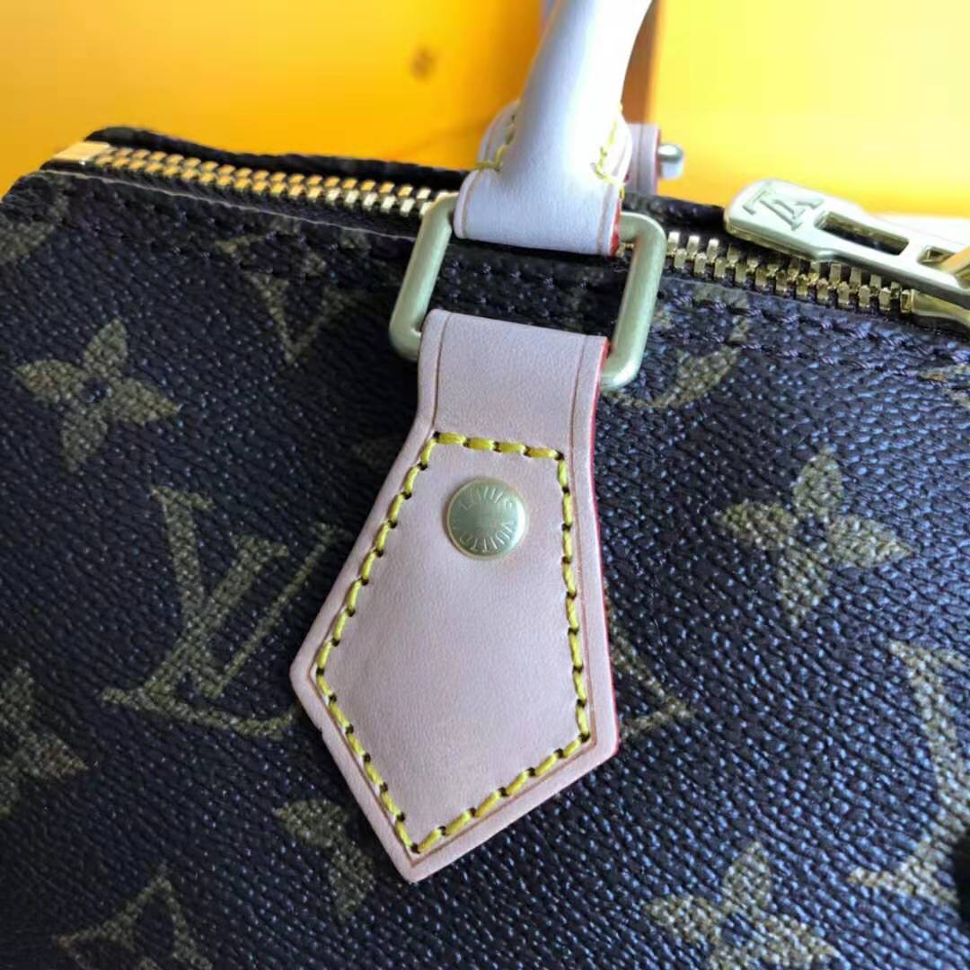 Louis Vuitton LV Women Speedy 25 Bag in Monogram Coated Canvas-Brown