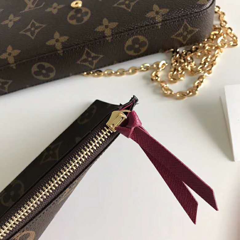 Louis Vuitton LV Women Félicie Pochette Bag in Monogram Canvas-Brown