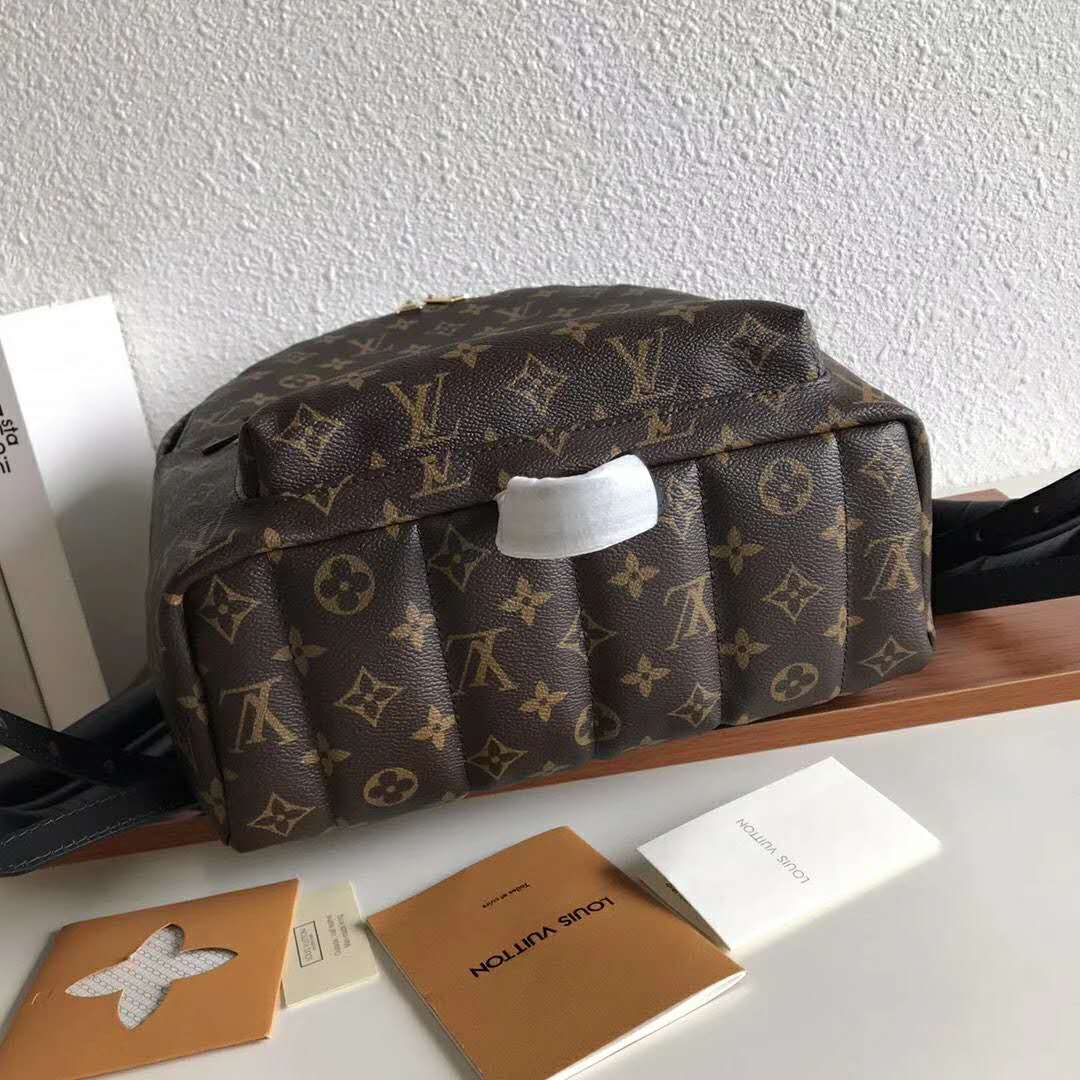 Louis Vuitton LV Unisex Palm Springs MM Backpack in Monogram Coated Canvas-Brown