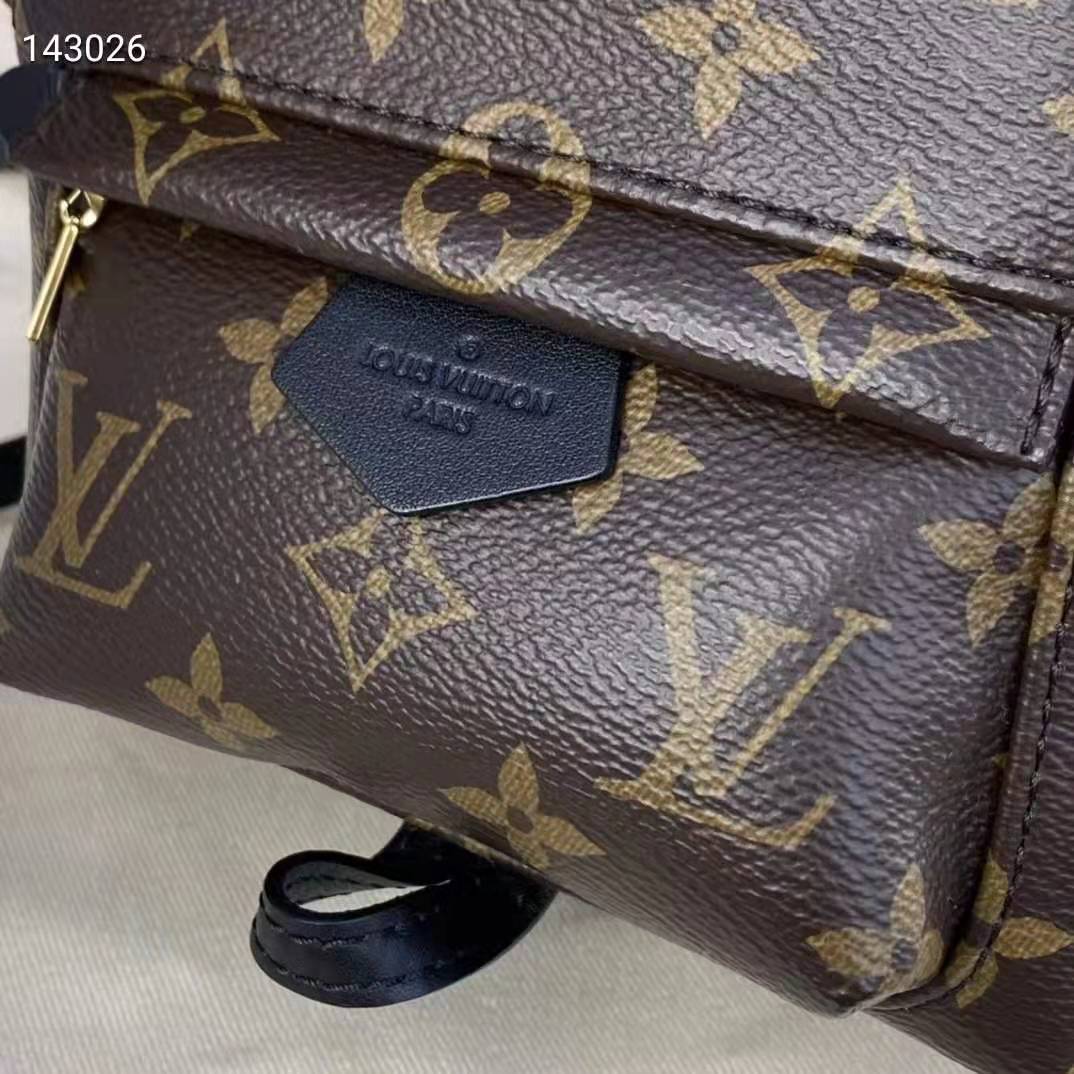 Louis Vuitton LV Unisex Palm Springs Mini Monogram Coated Canvas Textile Lining