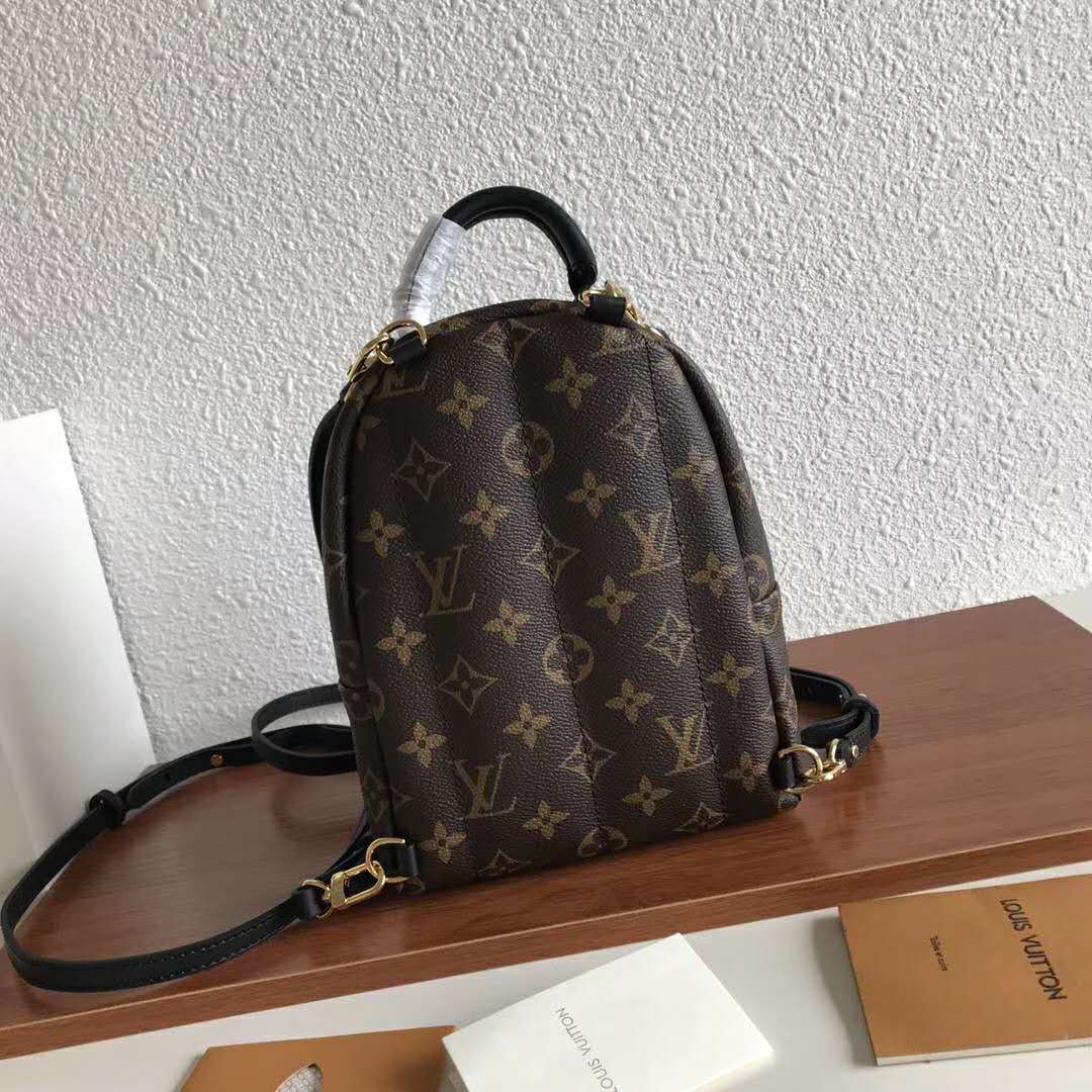 Louis Vuitton LV Unisex Palm Springs Backpack Mini in Monogram Coated Canvas-Brown