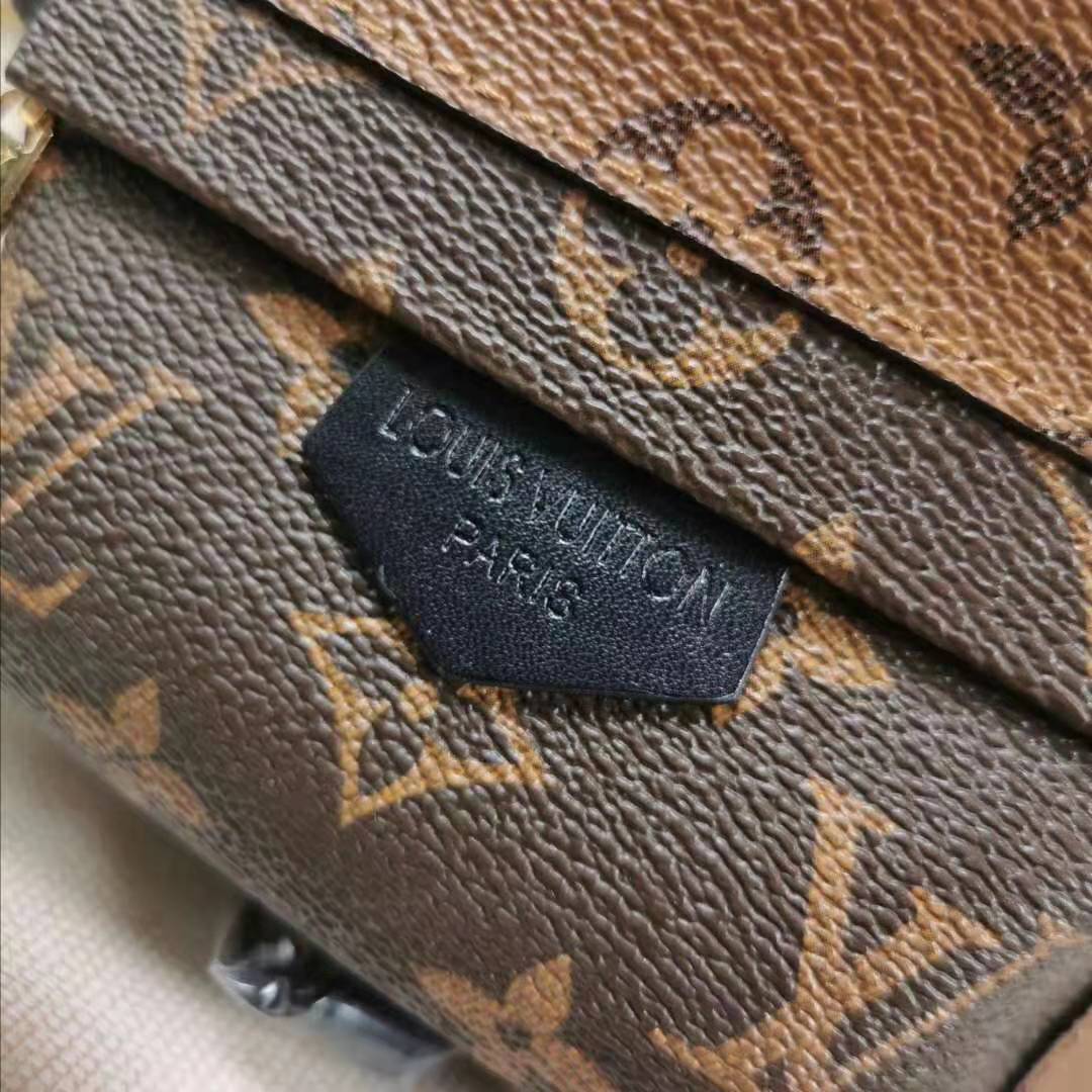 Louis Vuitton LV Women Palm Springs Mini in Monogram Reverse Coated Canvas-Brown