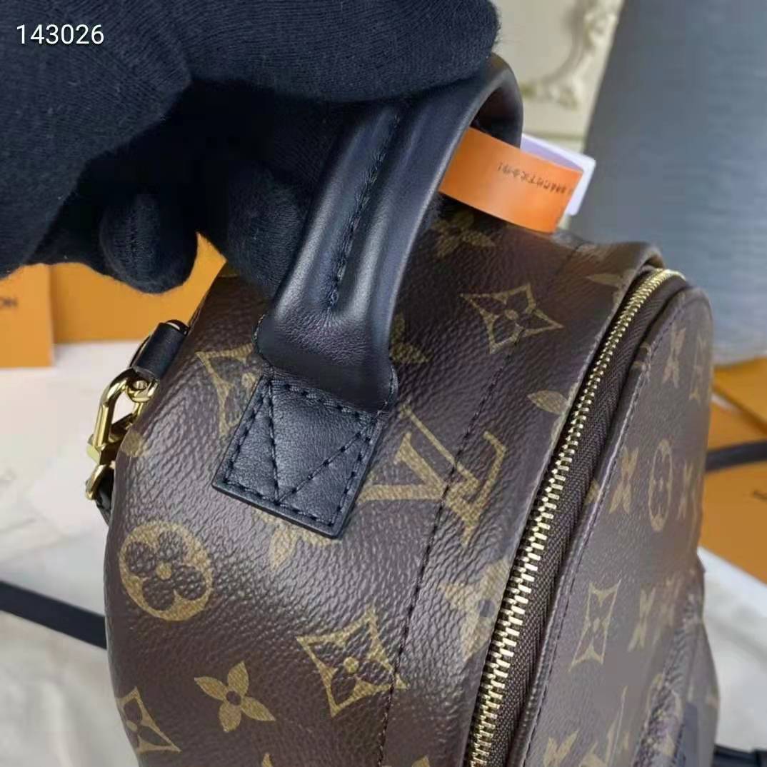 Louis Vuitton LV Unisex Palm Springs Mini Monogram Coated Canvas Textile Lining