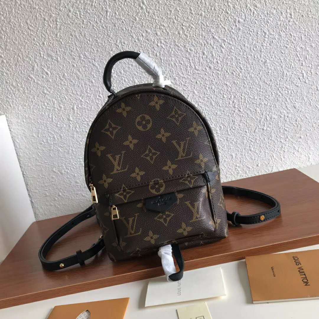 Louis Vuitton LV Unisex Palm Springs Backpack Mini in Monogram Coated Canvas-Brown