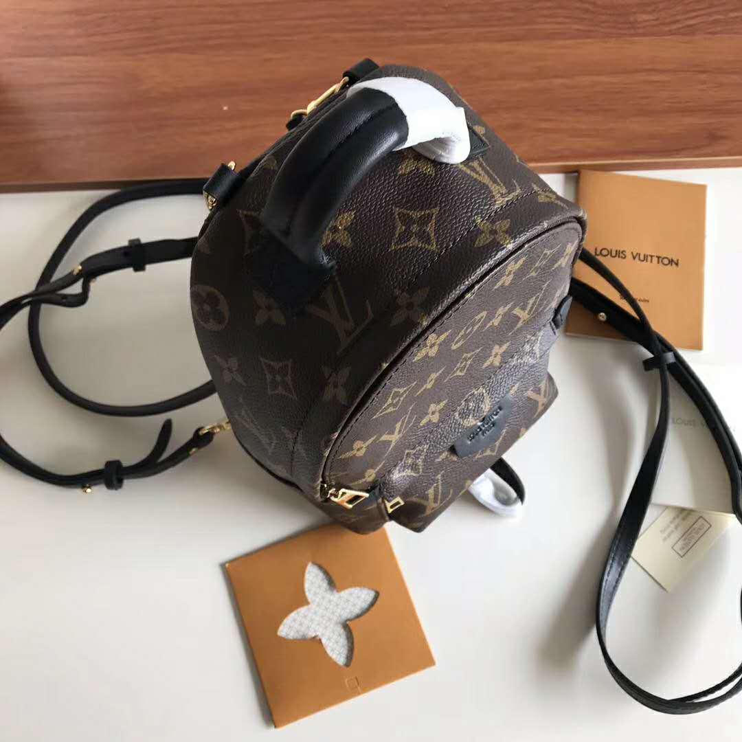 Louis Vuitton LV Unisex Palm Springs Backpack Mini in Monogram Coated Canvas-Brown