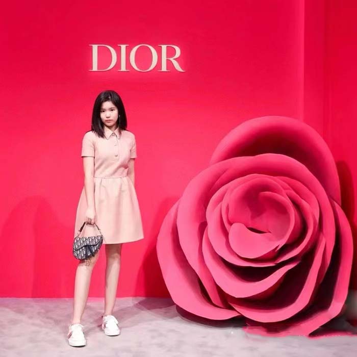 Dior Women CD Short Belted Shirt Dress Pink Wool Silk