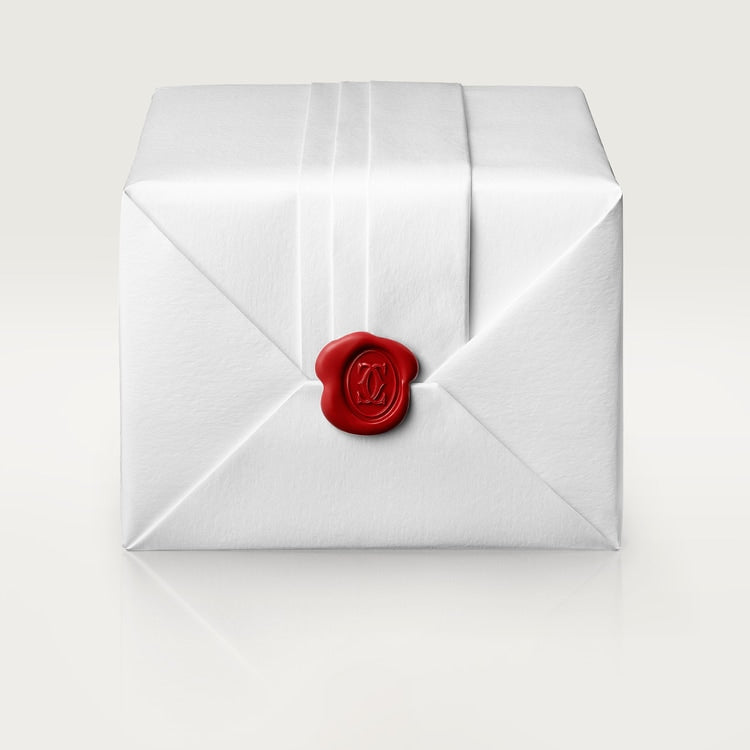 CARTIER SANTOS DE  WATCH