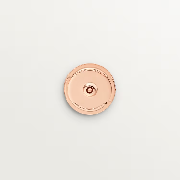 CARTIER LOVE EARRINGS