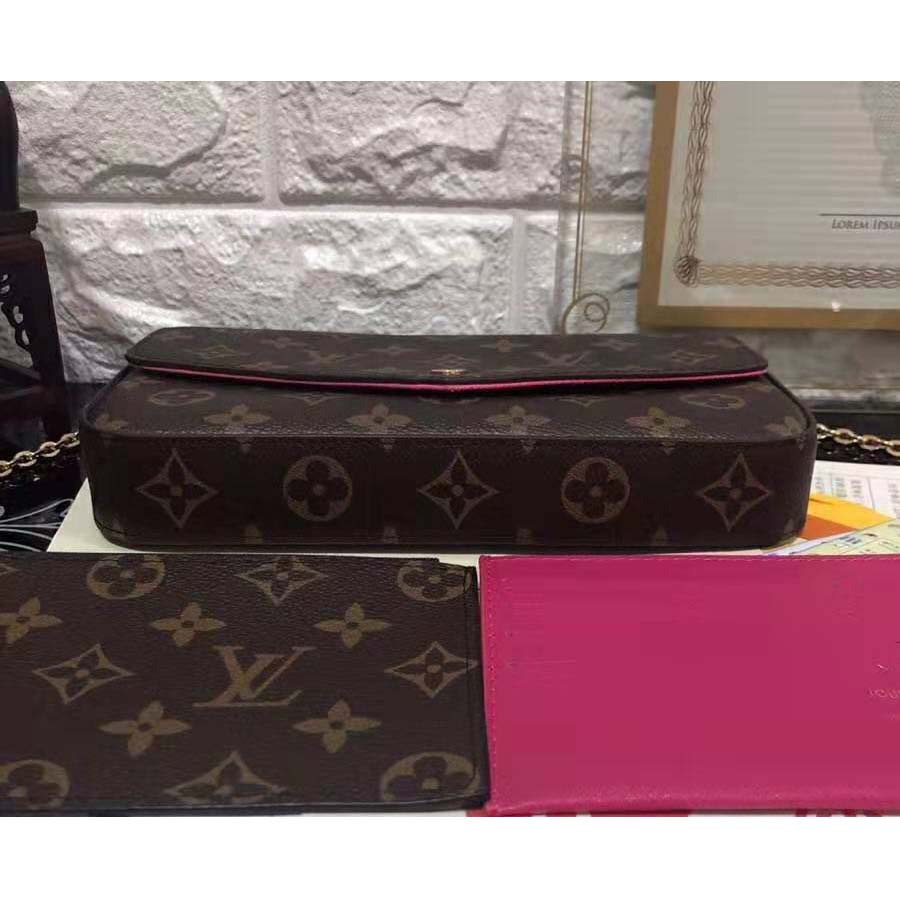 Louis Vuitton LV Women Félicie Pochette in Monogram Canvas-Brown