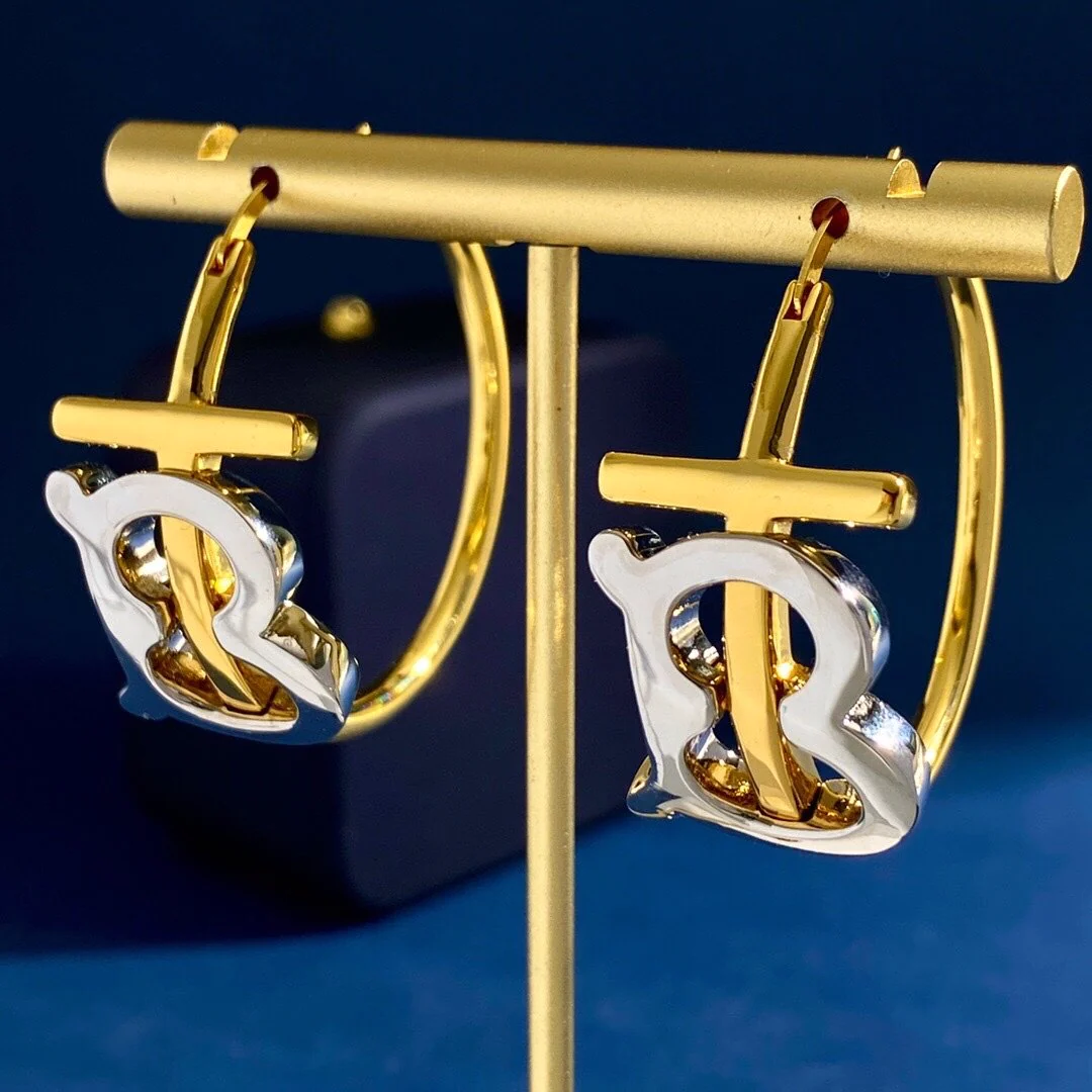 New Fashion Versatile Earrings 1024010205