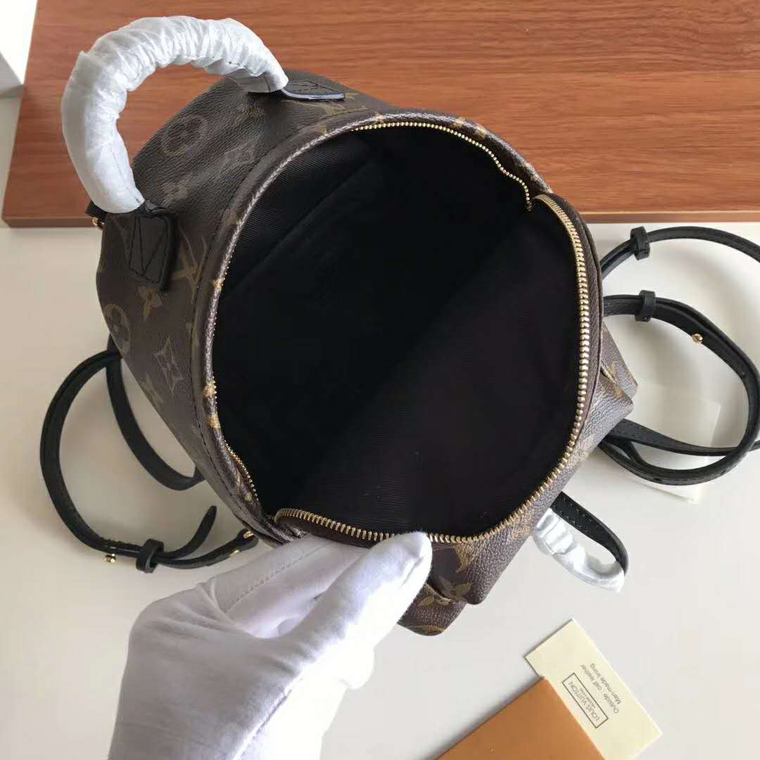 Louis Vuitton LV Unisex Palm Springs Backpack Mini in Monogram Coated Canvas-Brown