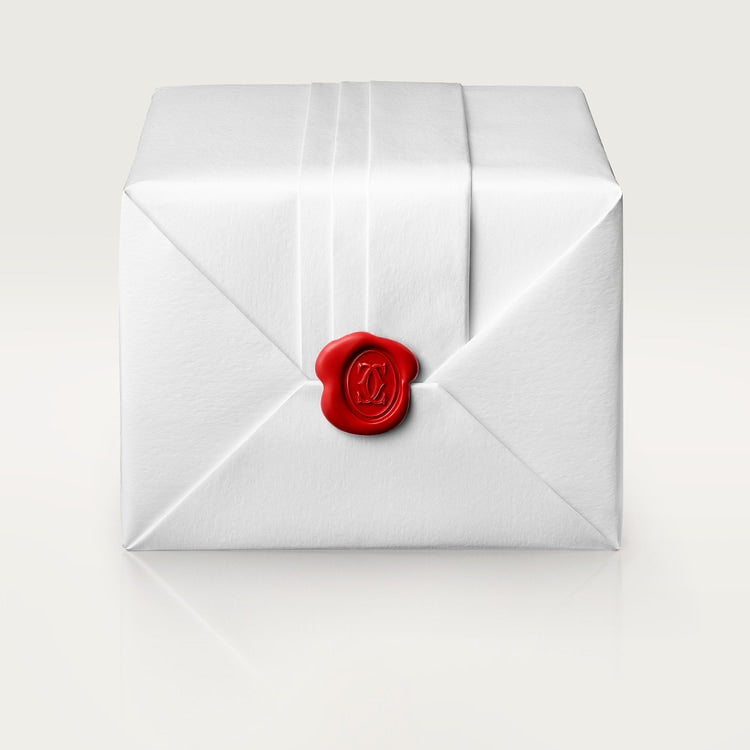 CARTIER SANTOS-DUMONT WATCH SMALL MODEL