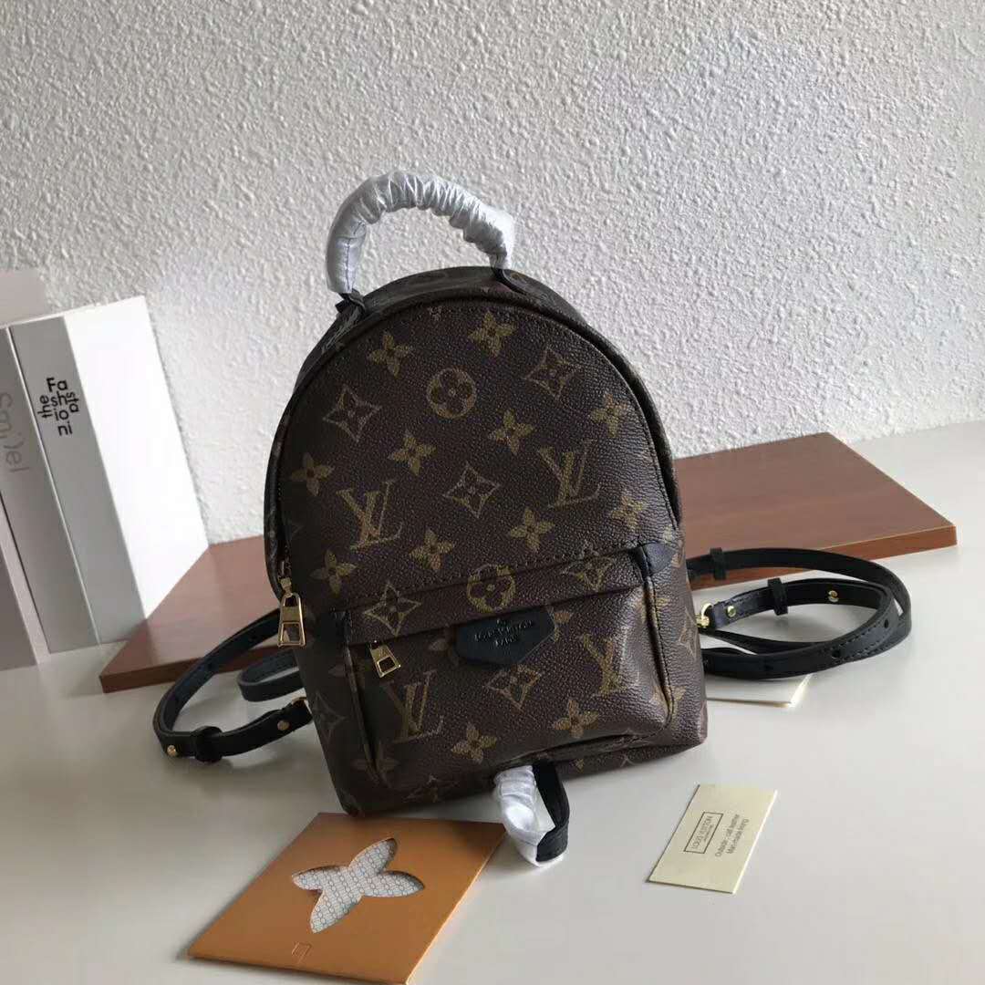 Louis Vuitton LV Unisex Palm Springs Backpack Mini in Monogram Coated Canvas-Brown