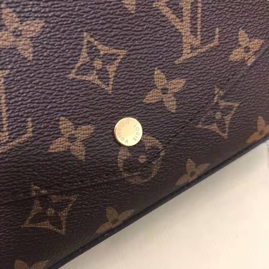 Louis Vuitton LV Women Félicie Pochette in Monogram Canvas-Brown