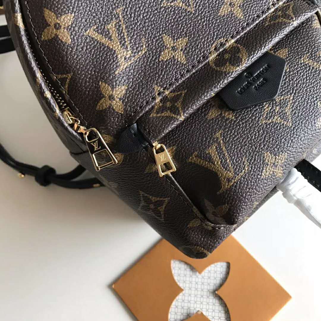 Louis Vuitton LV Unisex Palm Springs Backpack Mini in Monogram Coated Canvas-Brown