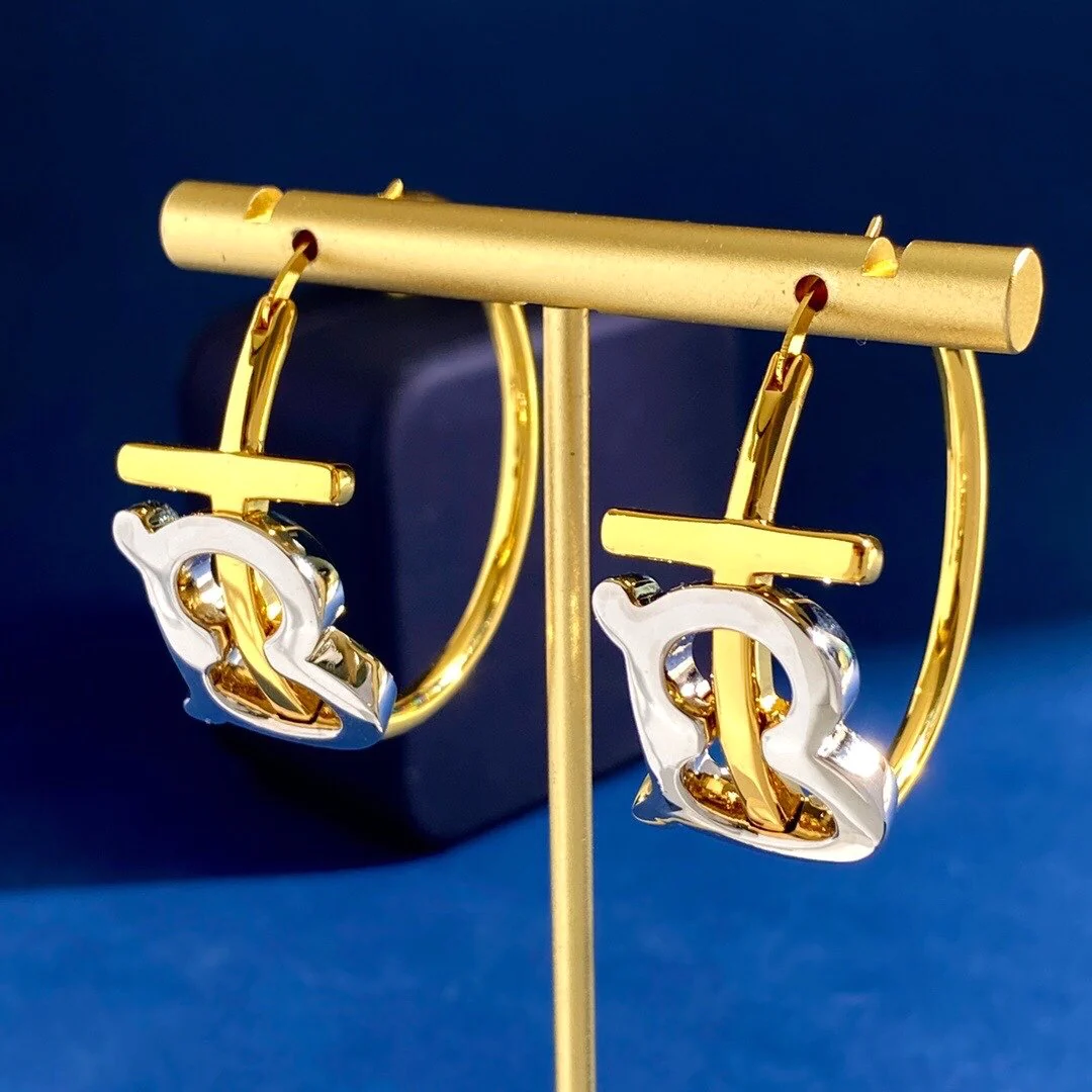 New Fashion Versatile Earrings 1024010205