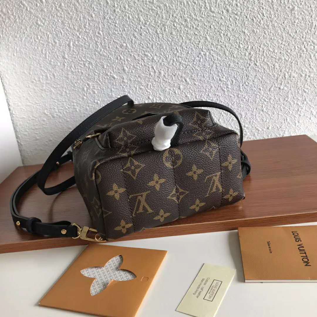 Louis Vuitton LV Unisex Palm Springs Backpack Mini in Monogram Coated Canvas-Brown
