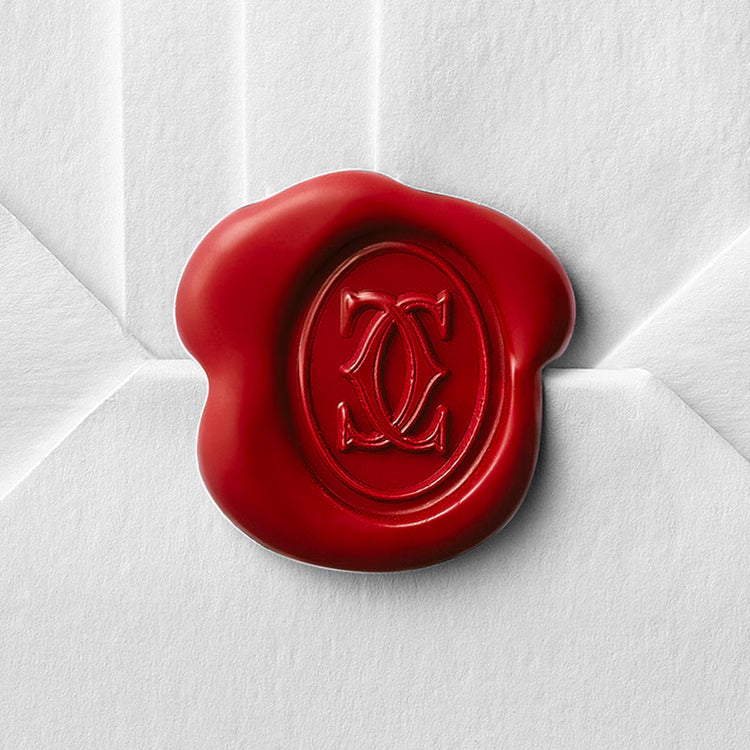 CARTIER PANTHÈRE DE WATCH SMALL MOEDL