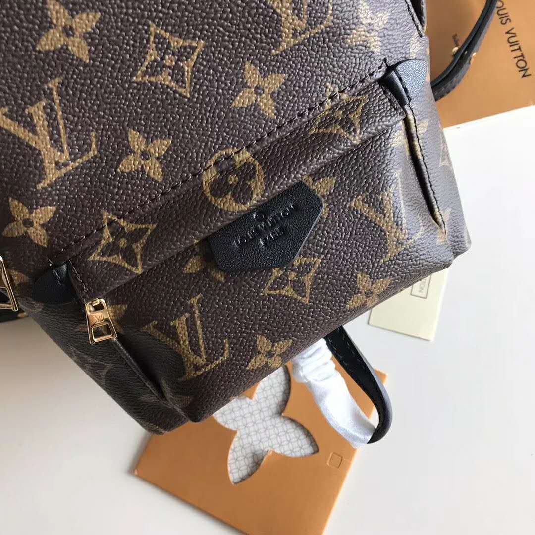Louis Vuitton LV Unisex Palm Springs Backpack Mini in Monogram Coated Canvas-Brown