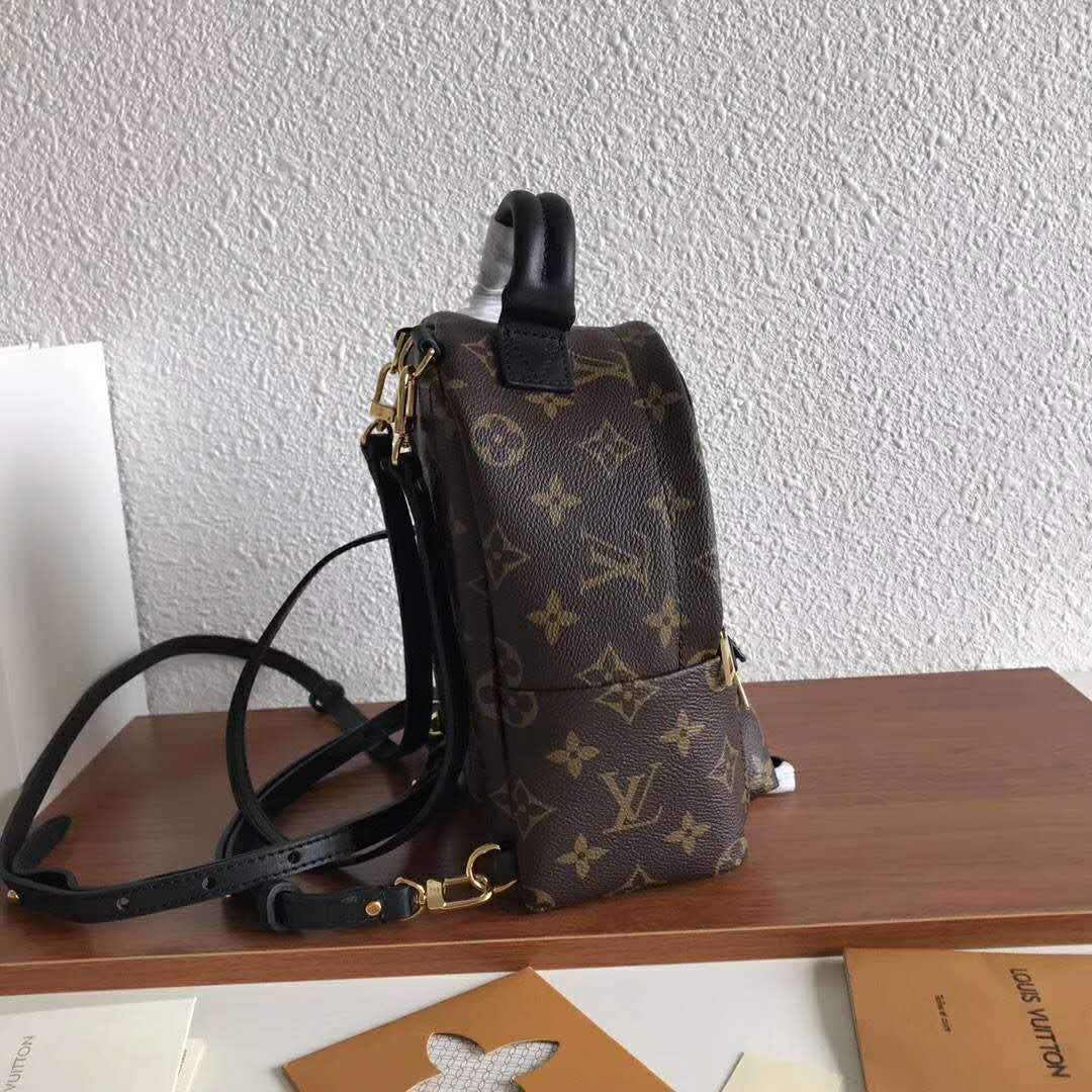 Louis Vuitton LV Unisex Palm Springs Backpack Mini in Monogram Coated Canvas-Brown