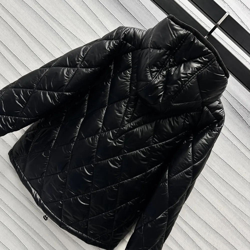 Louis Vuitton Men Diamond Ripstop Puffer Jacket 1AGAQC
