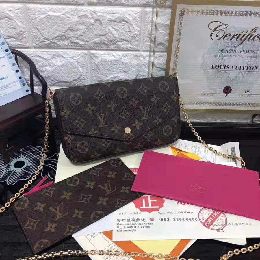 Louis Vuitton LV Women Félicie Pochette in Monogram Canvas-Brown