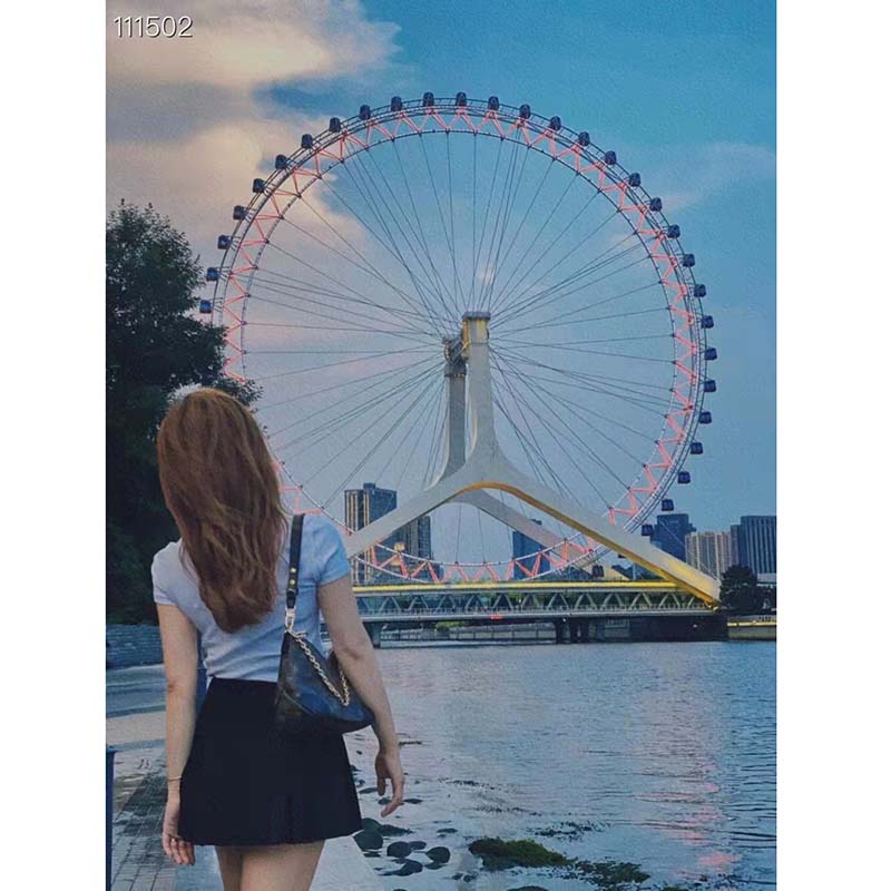 Louis Vuitton LV Women Boulogne Handbag Black Brown Monogram Coated Canvas