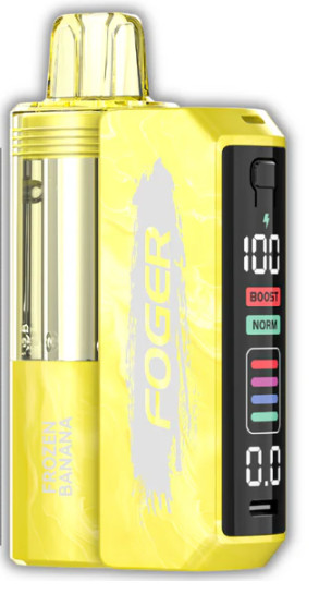 Foger Switch Pro Disposable Vape【1 X Foger Switch Pro Battery 1 X Foger Switch Disposable Pod】