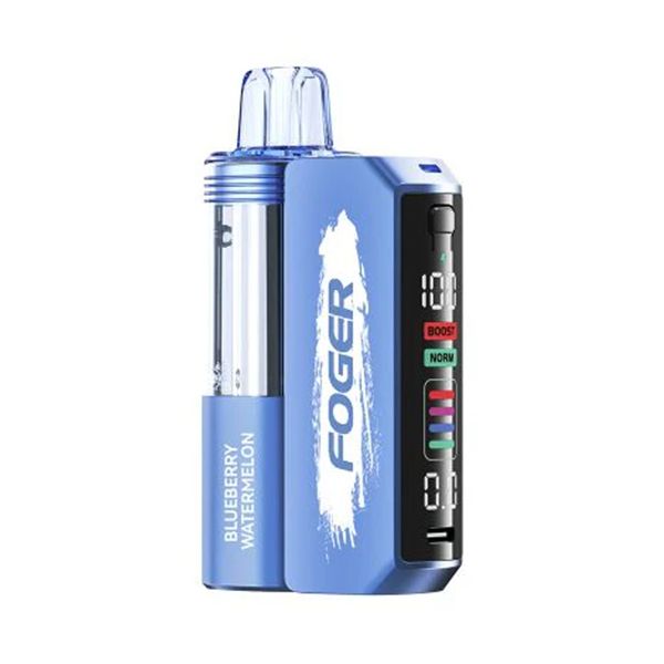 Foger Switch Pro Disposable Vape【1 X Foger Switch Pro Battery 1 X Foger Switch Disposable Pod】
