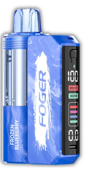 Foger Switch Pro Disposable Vape【1 X Foger Switch Pro Battery 1 X Foger Switch Disposable Pod】