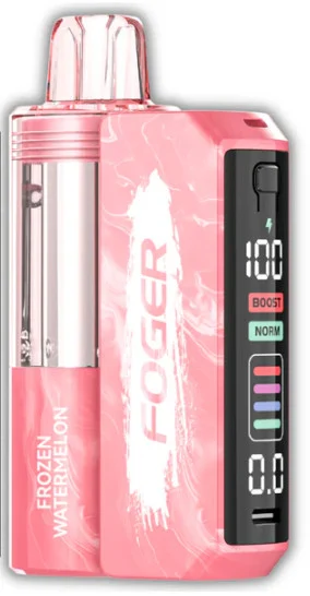 Foger Switch Pro Disposable Vape【1 X Foger Switch Pro Battery 1 X Foger Switch Disposable Pod】