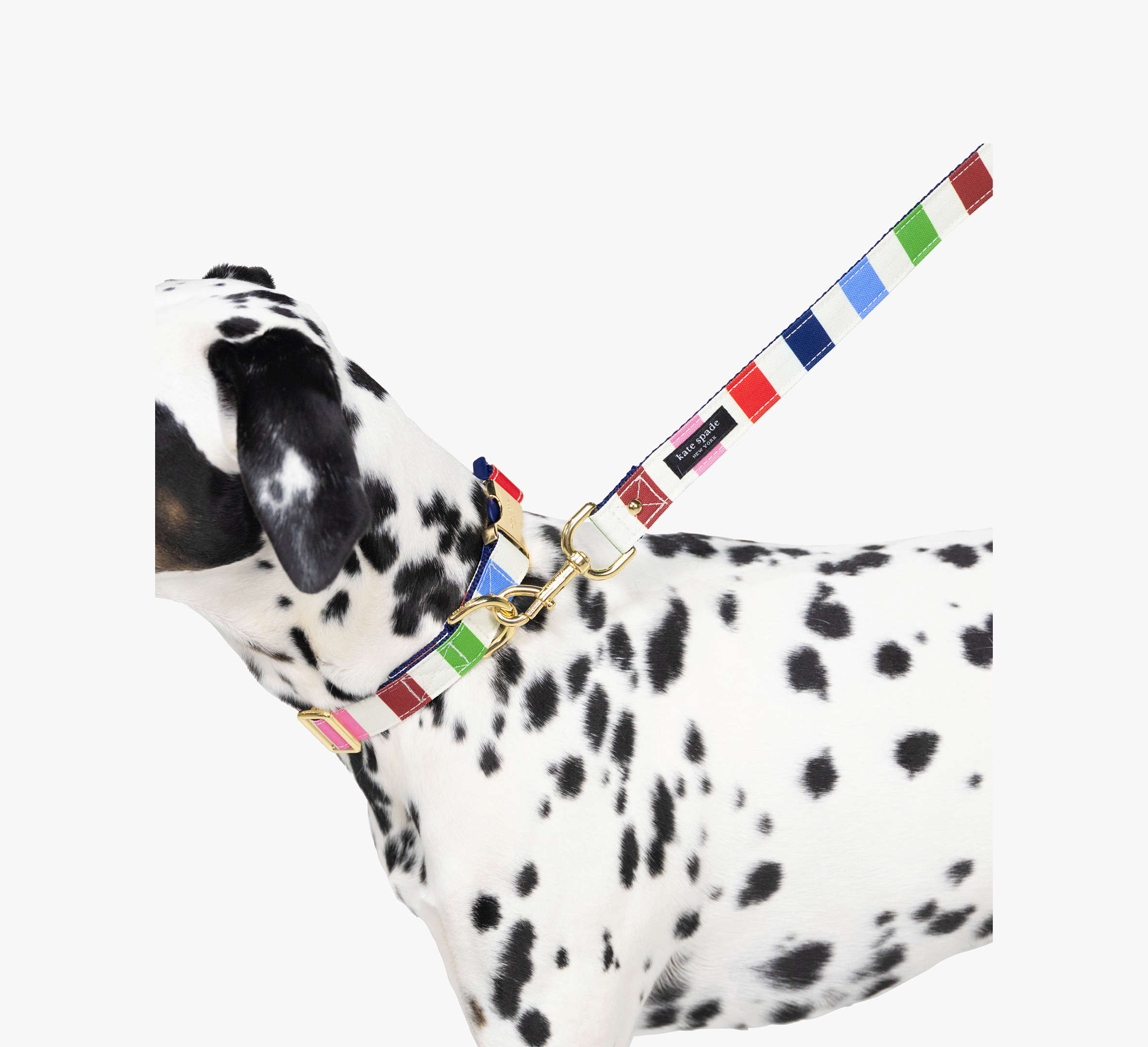 Kate Spade Adventure Stripe Collar S/M