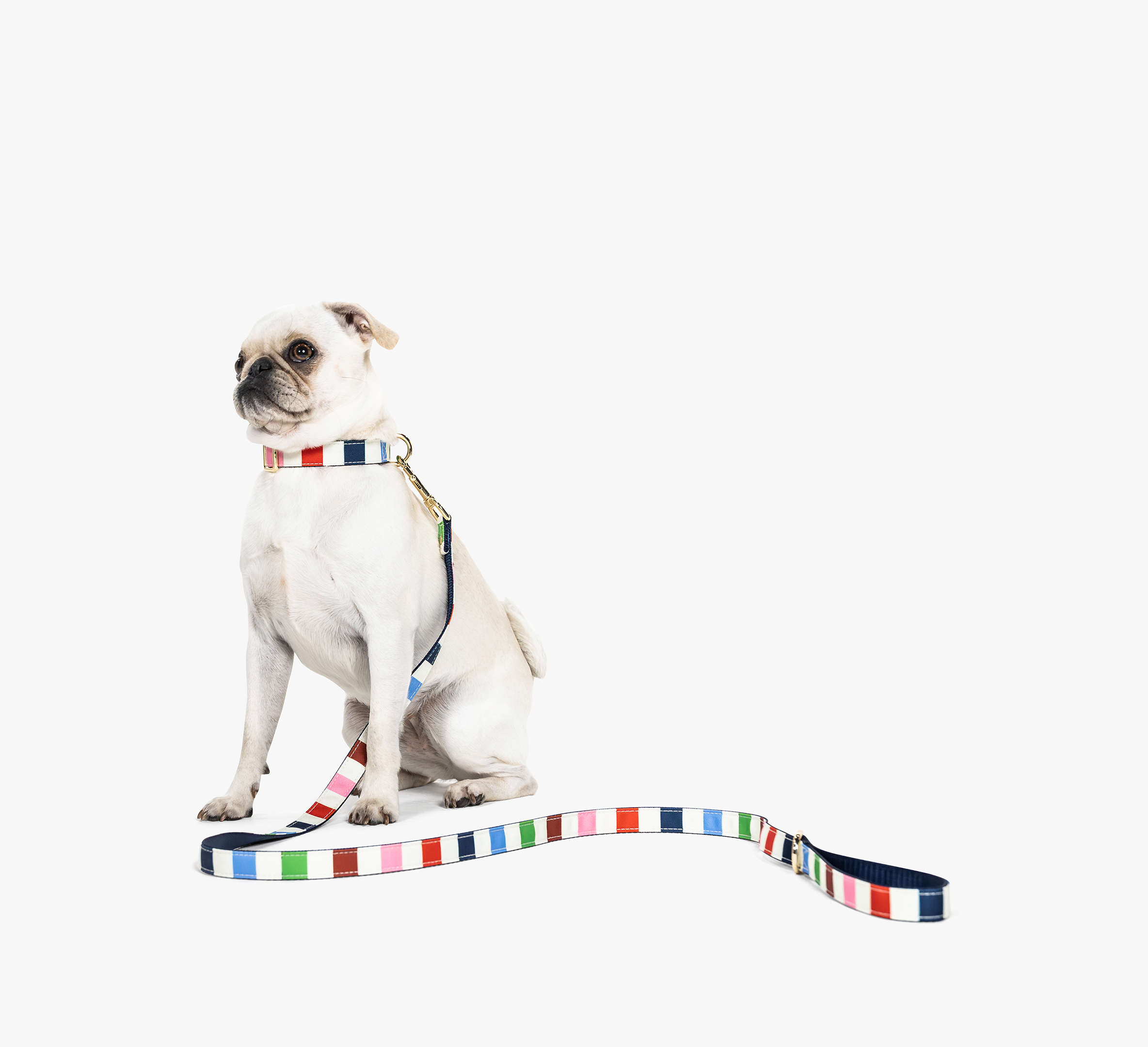 Adventure Stripe Leash S/M