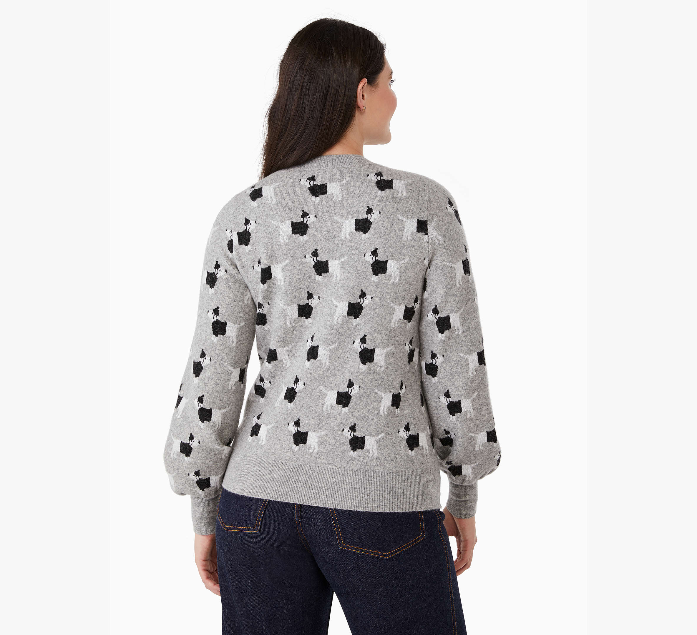 Claude Dachshund Sweater