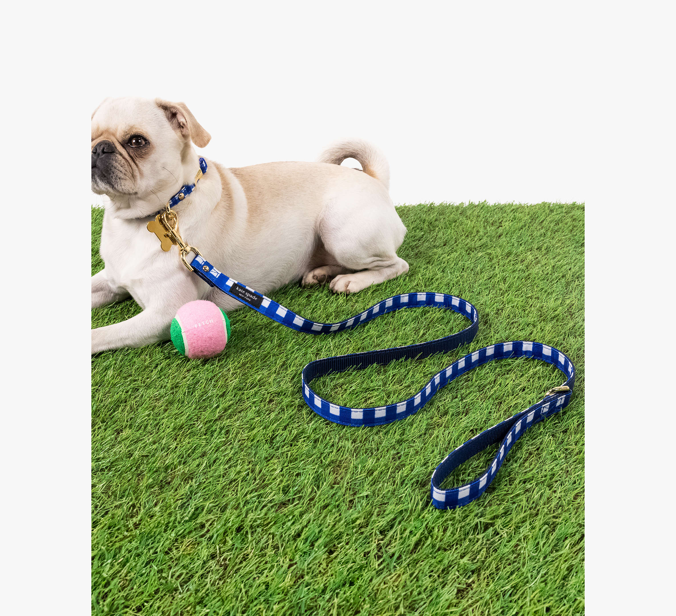 Navy Gingham Leash S/M