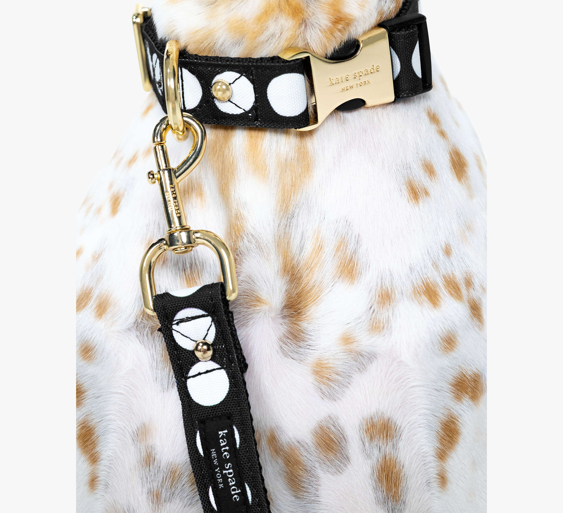 Kate Spade Art Dot Collar S/M