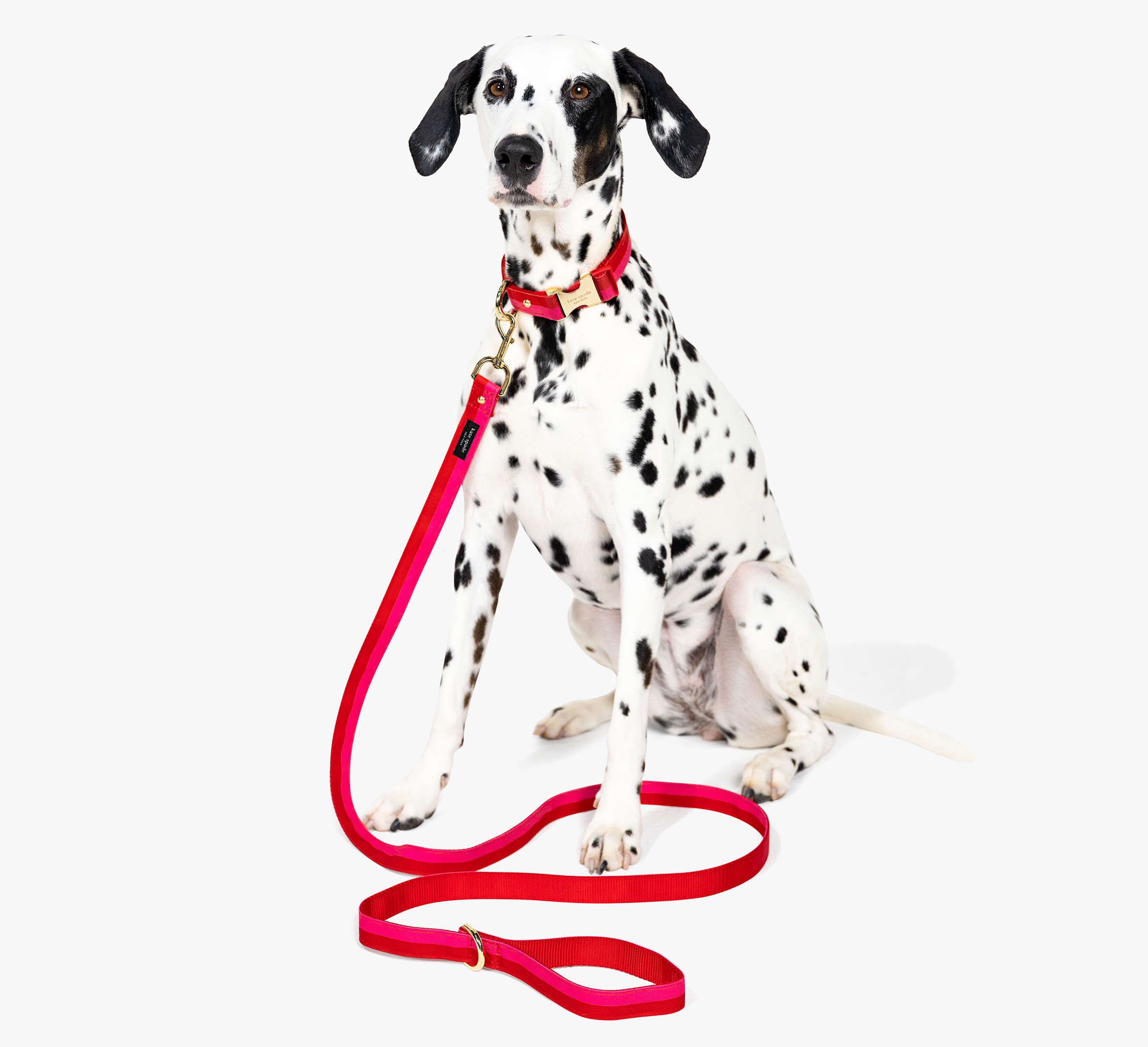 Colorblock Leash