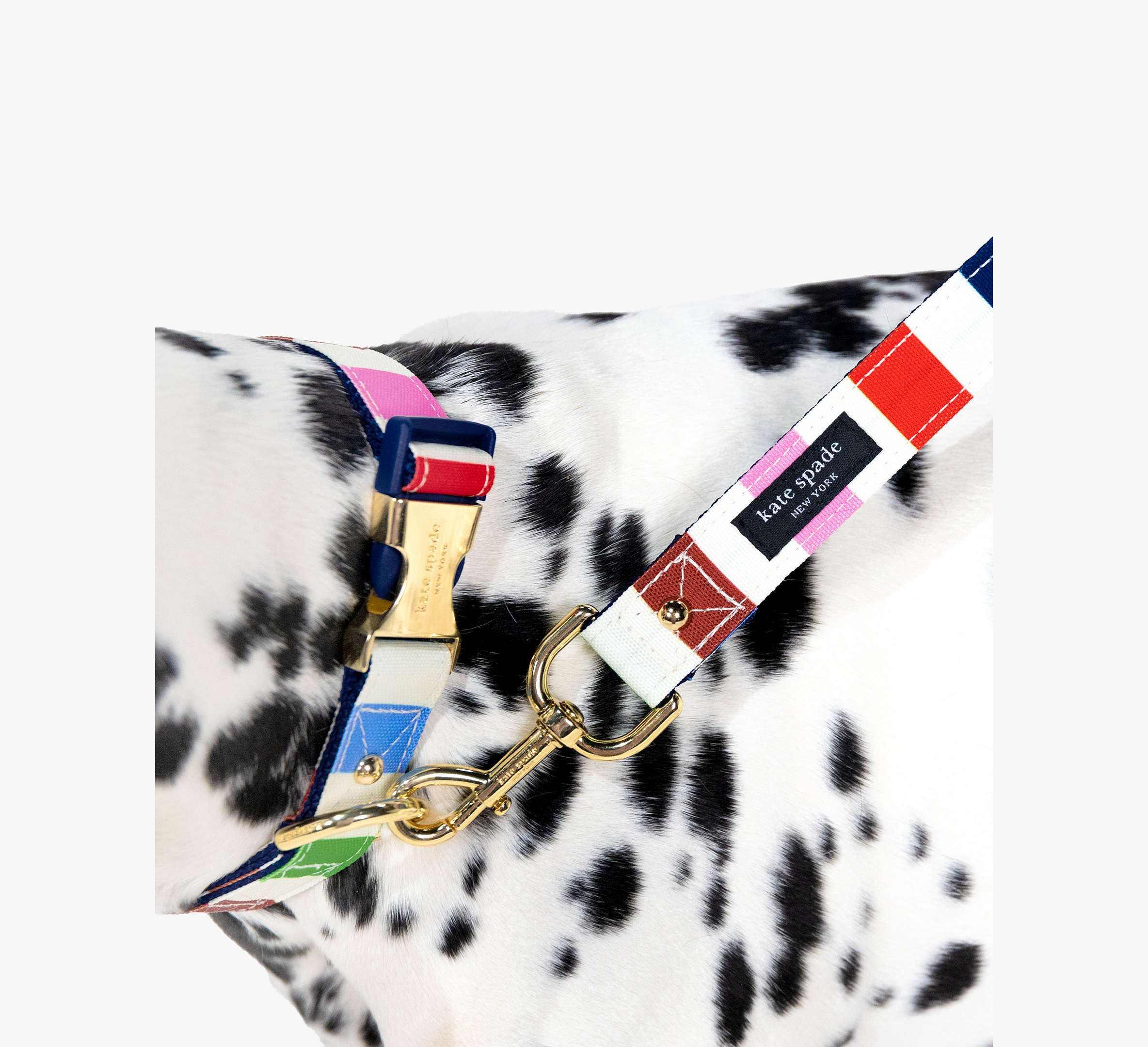 Kate Spade Adventure Stripe Collar S/M
